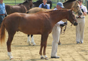 img02901.jpg